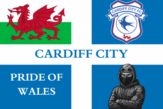 Cardiff city , pride of wales - Cardiff City