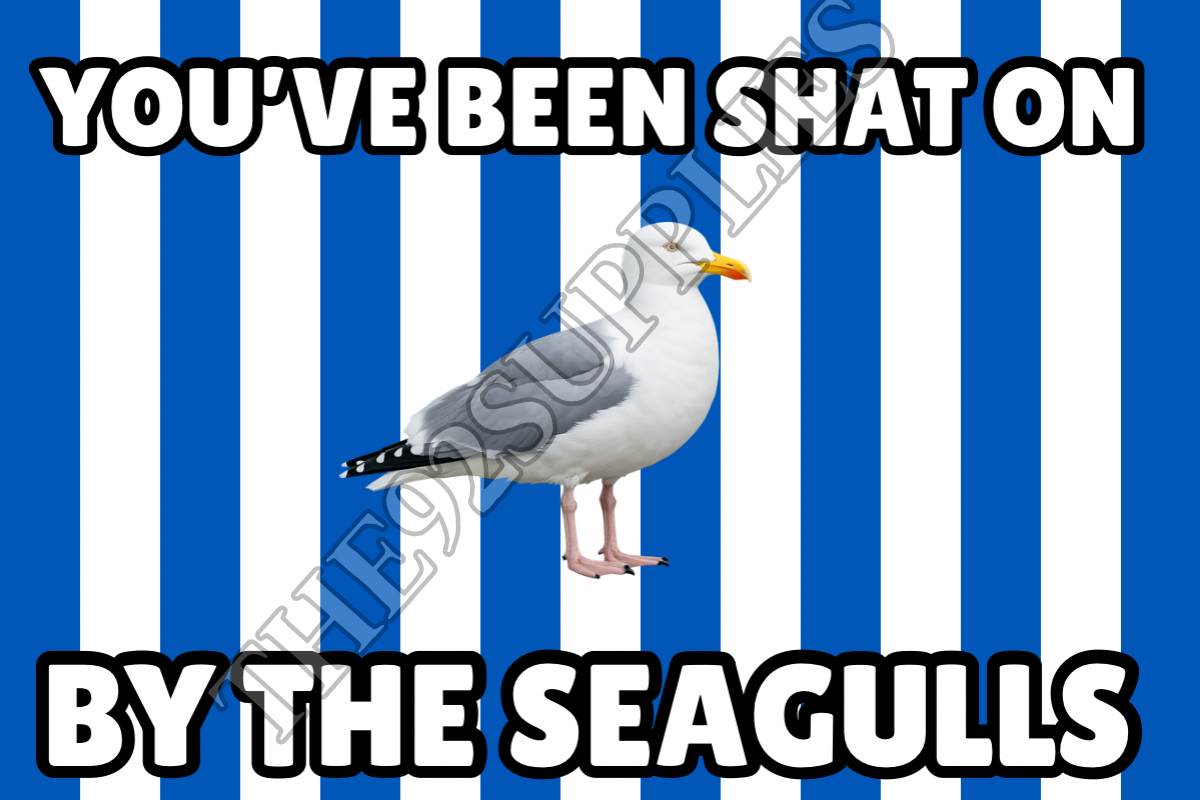 You’ve been shat on by the seagulls x8 - Brighton