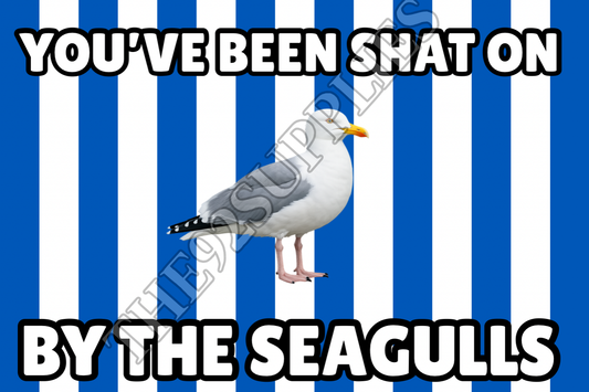 You’ve been shat on by the seagulls x8 - Brighton