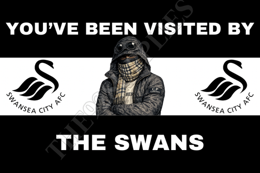 You’ve been visited by the swans - Swansea