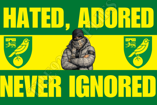 Hated adored never ignored - Norwich