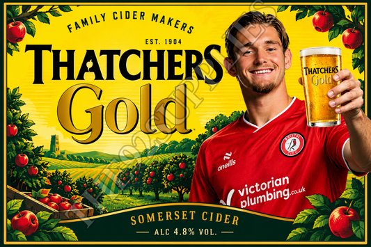 Ballard (thatchers gold) x8 - Bristol city