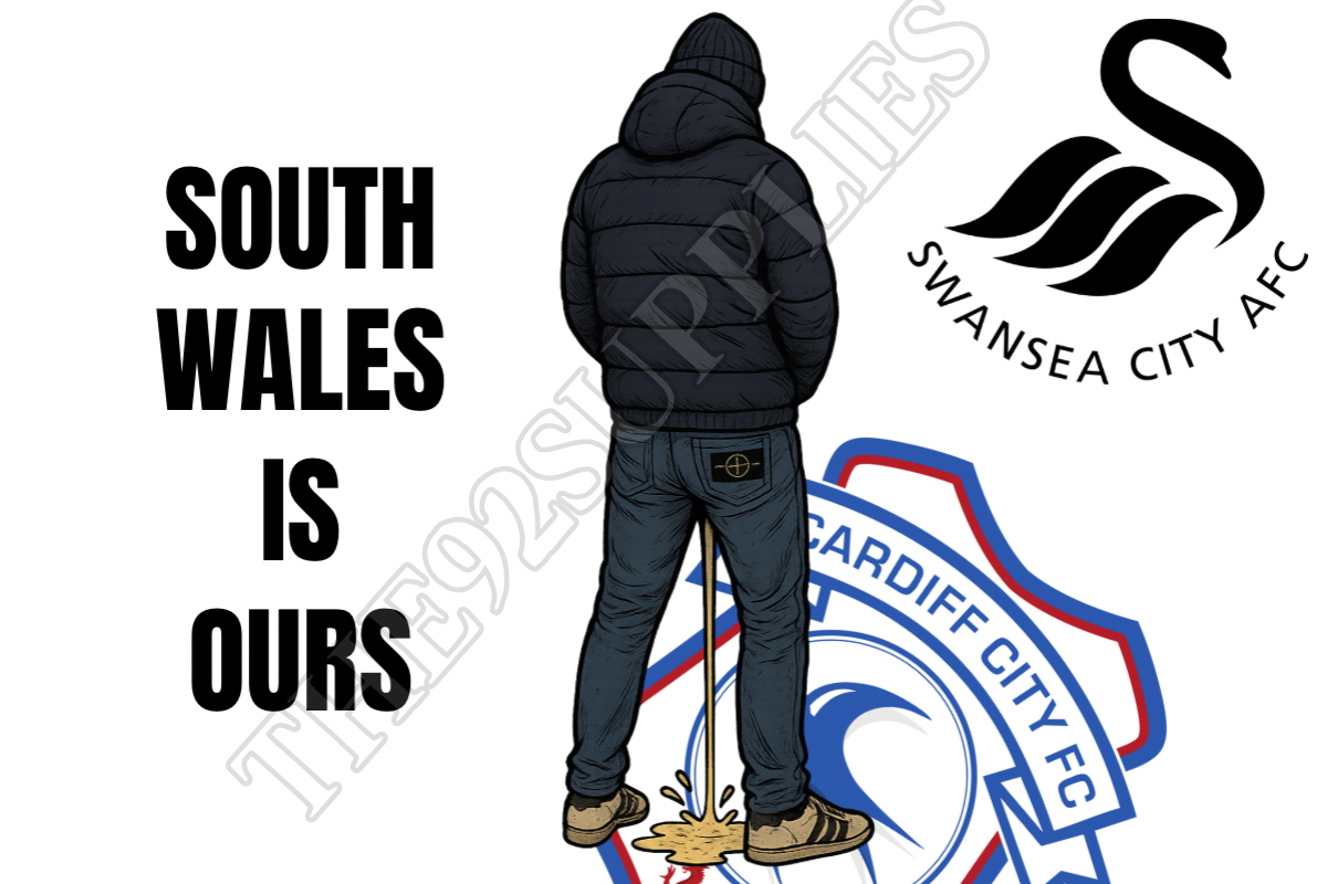South wales is ours - Swansea