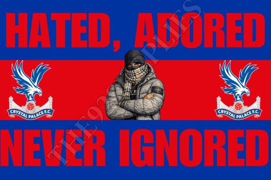 Hated , adored , never ignored - Crystal Palace
