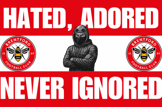 Hated , adored , never ignored - Brentford