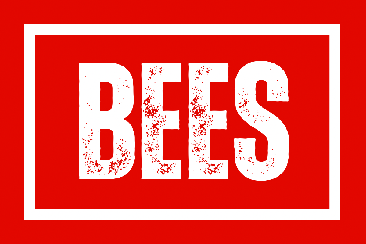 Bees x8 - Brentford