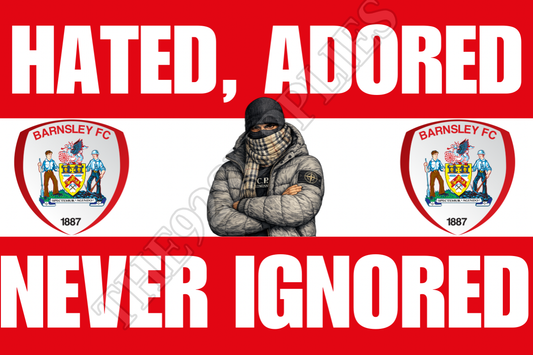 Hated. Adored. Never ignored - Barnsley