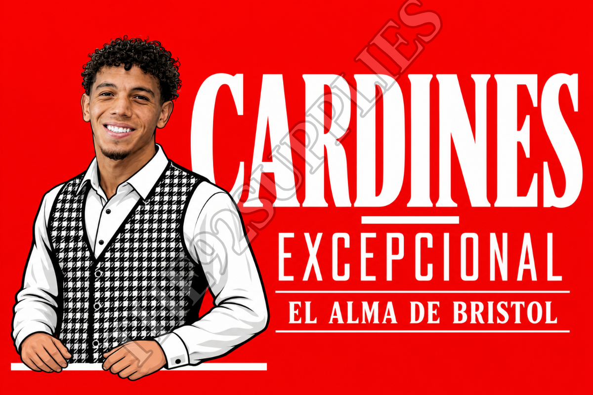 Cardines excepcional x8 - Bristol city