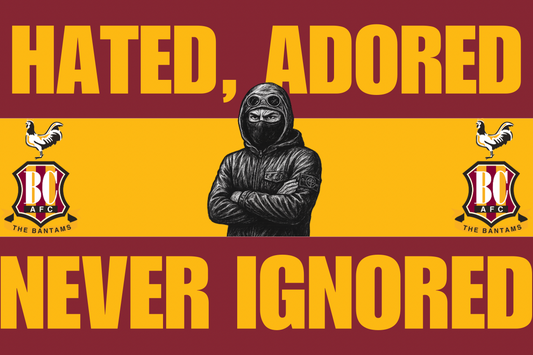 Hated adored never ignored - Bradford City