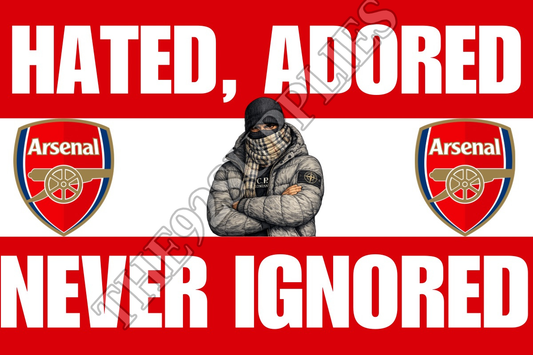Hated. Adored. Never ignored x8 - Arsenal