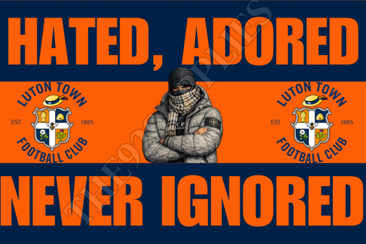 Hated. Adored. Never ignored - Luton town