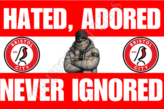 Hated. Adored. Never ignored x8 - Bristol City