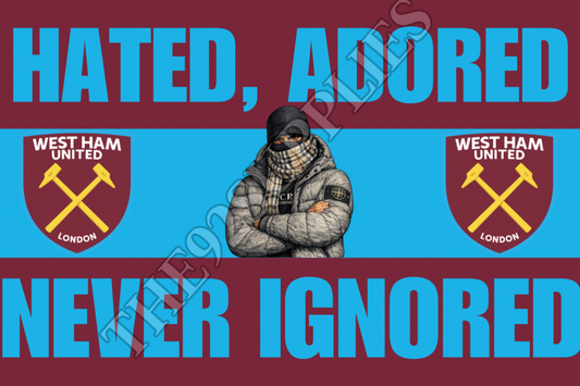 Hated , adored , new ignored x8 - West Ham United