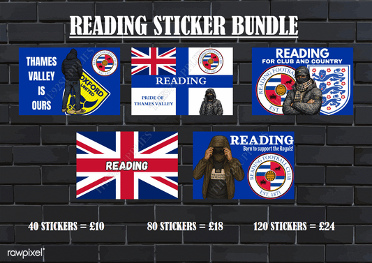 Reading Sticker Bundle